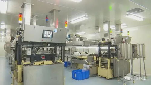 區(qū)縣解讀 黔江 智能引領(lǐng)結(jié)構(gòu)優(yōu)化 推進企業(yè)轉(zhuǎn)型升級